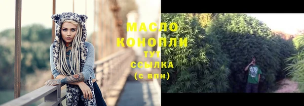шишки Коряжма