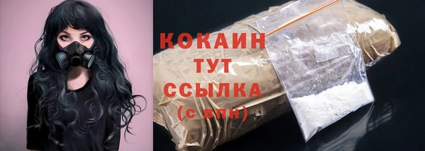 шишки Коряжма