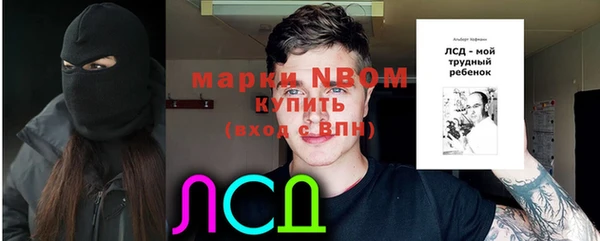круглые Корсаков