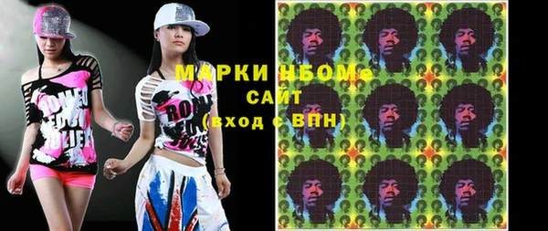 шишки Коряжма
