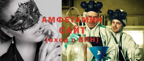 шишки Коряжма