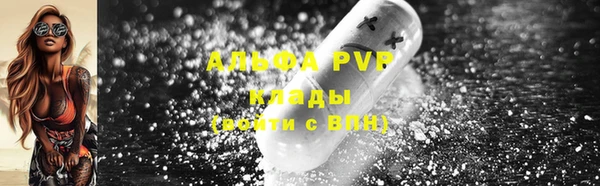 шишки Коряжма