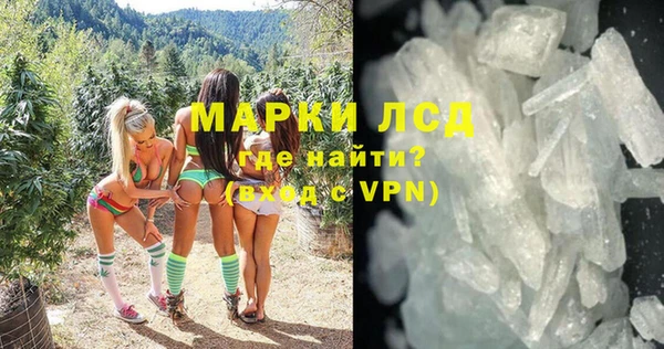 шишки Коряжма