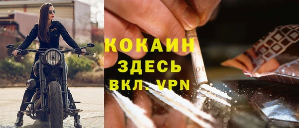 шишки Коряжма