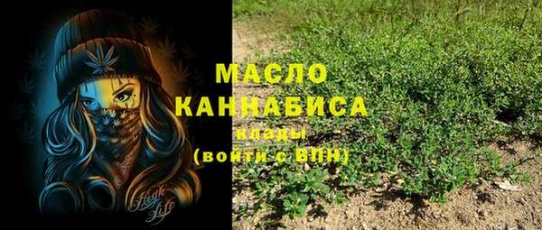 шишки Коряжма